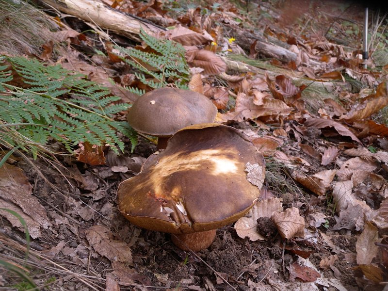 Forse l''ultima bellissima giornata..!!